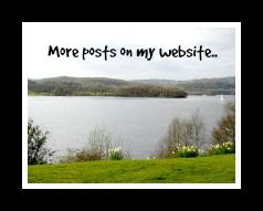  photo website widget 2_zpsgf7t1ktx.jpg