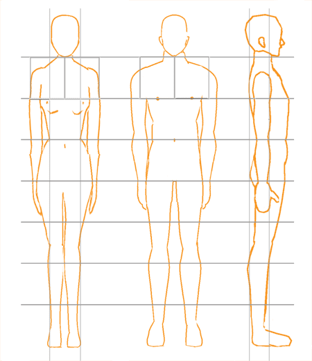 体の描き方