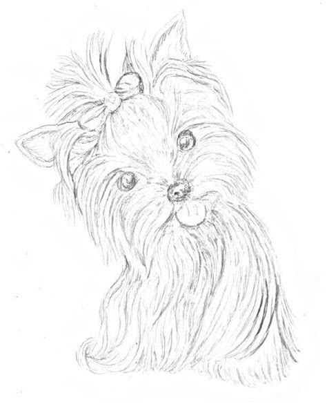 Yorkies are small, sweet and easy to take care of. yorkshire yorkie painting puppy coloring pages animal drawings