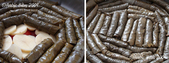 Stuffed Grape Leaves3