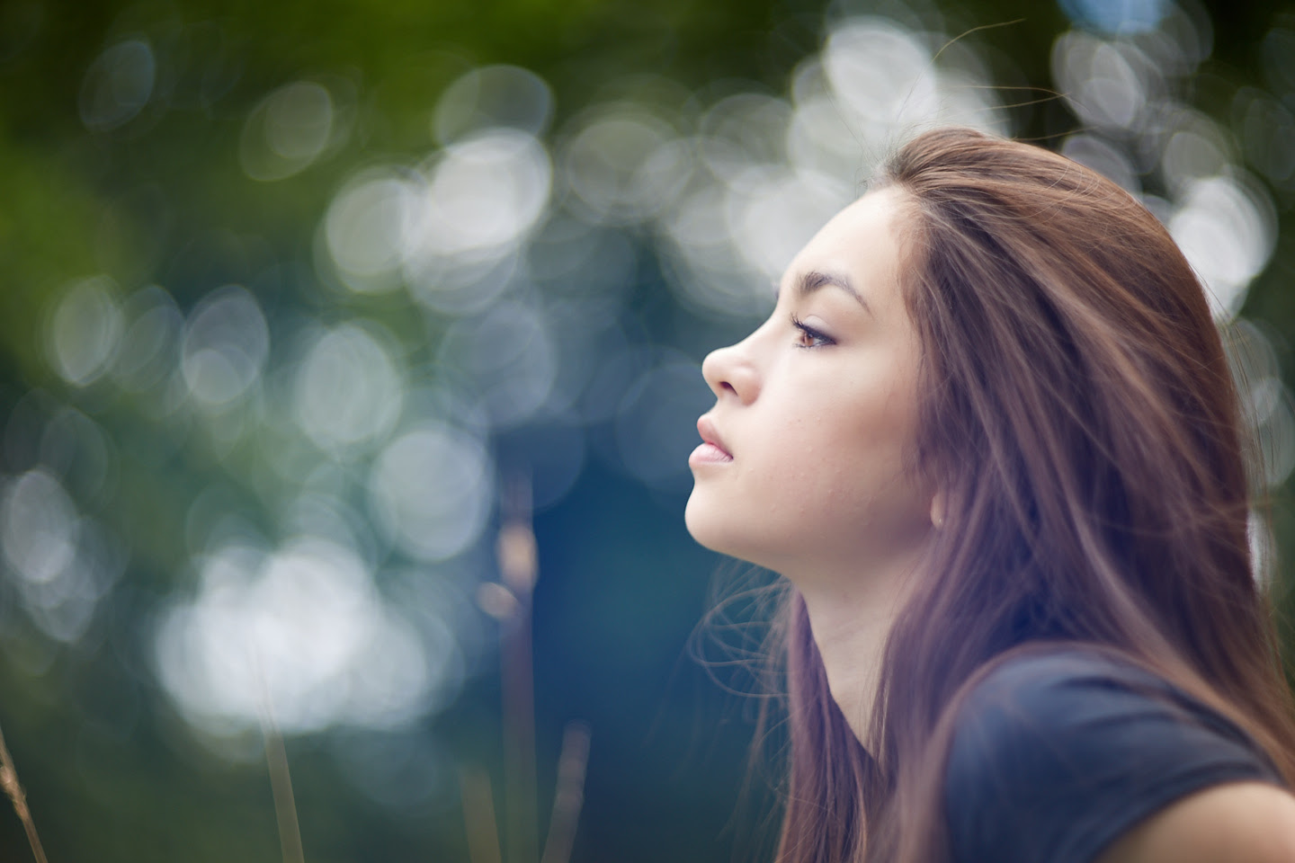 Helios 40 Zebra Version Lasopacoast