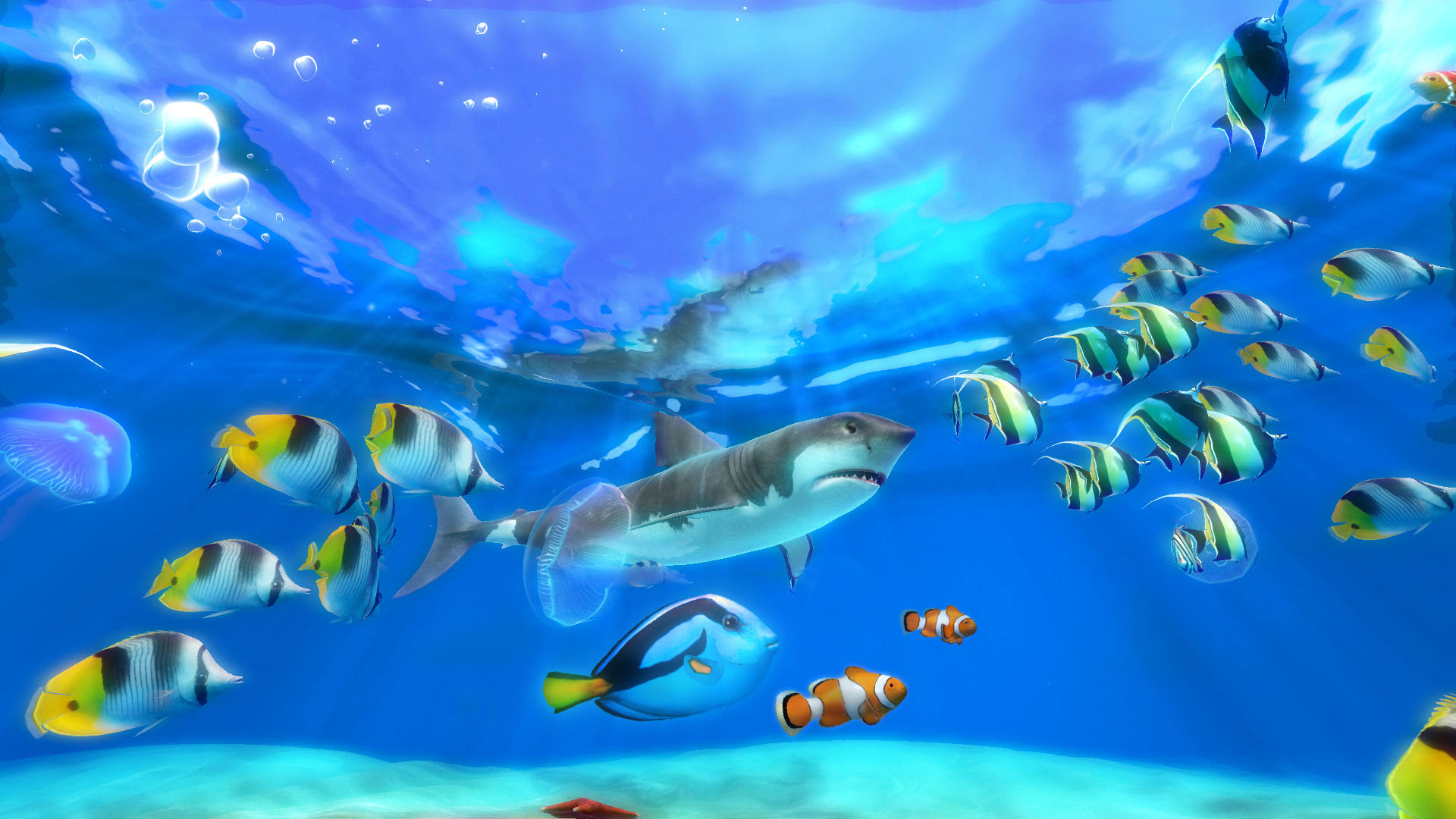 Fish aquarium 3d screensaver full version