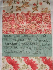 Brazilian baby quilt 009