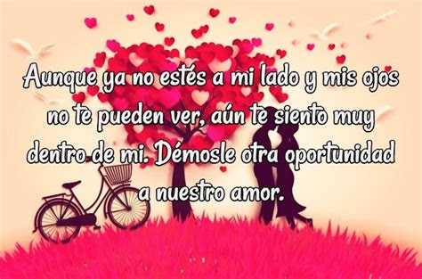 Frases De Amor Para Mi Ex Esposo