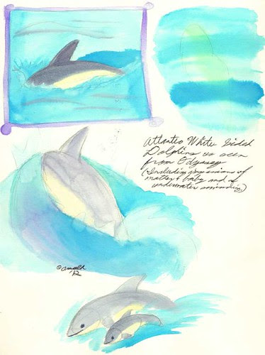 9.3.12 - Whale Watch Impressions