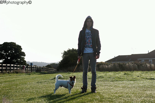 Walking Doggins