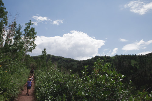 hike3 copy