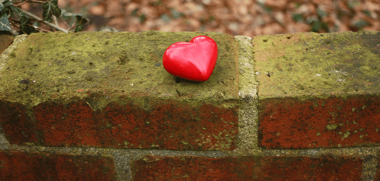 Phrase Amour Perdu Chagrin D Amour