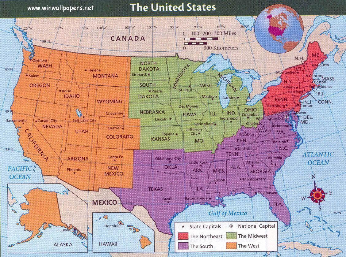 dog mountain patrick crotty