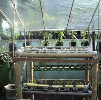 Cara Membuat Kit Hidroponik dari Pipa Batang Bambu Daun Ijo Cara Membuat Kit Hidroponik dari Pipa Batang Bambu Daun Ijo