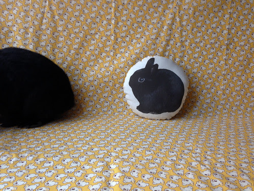 George Bunny Pillow Panels by Jeni Baker
