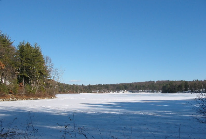 Walden Pond via Wikipedia
