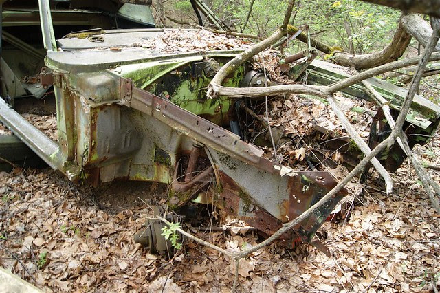 DSC09840 (Medium)