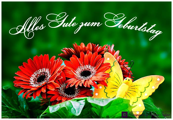 wünsche zum geburtstag freundschaft