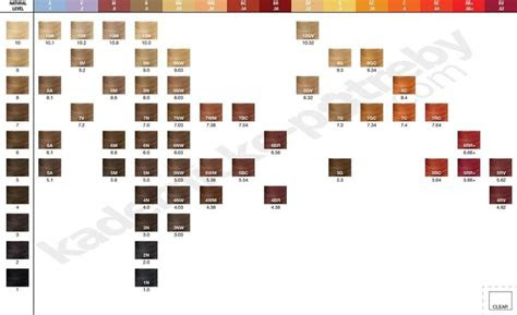 Color and filling sample list. hair goals ombre ombre curly hair dyed hair ombre colored curly hair