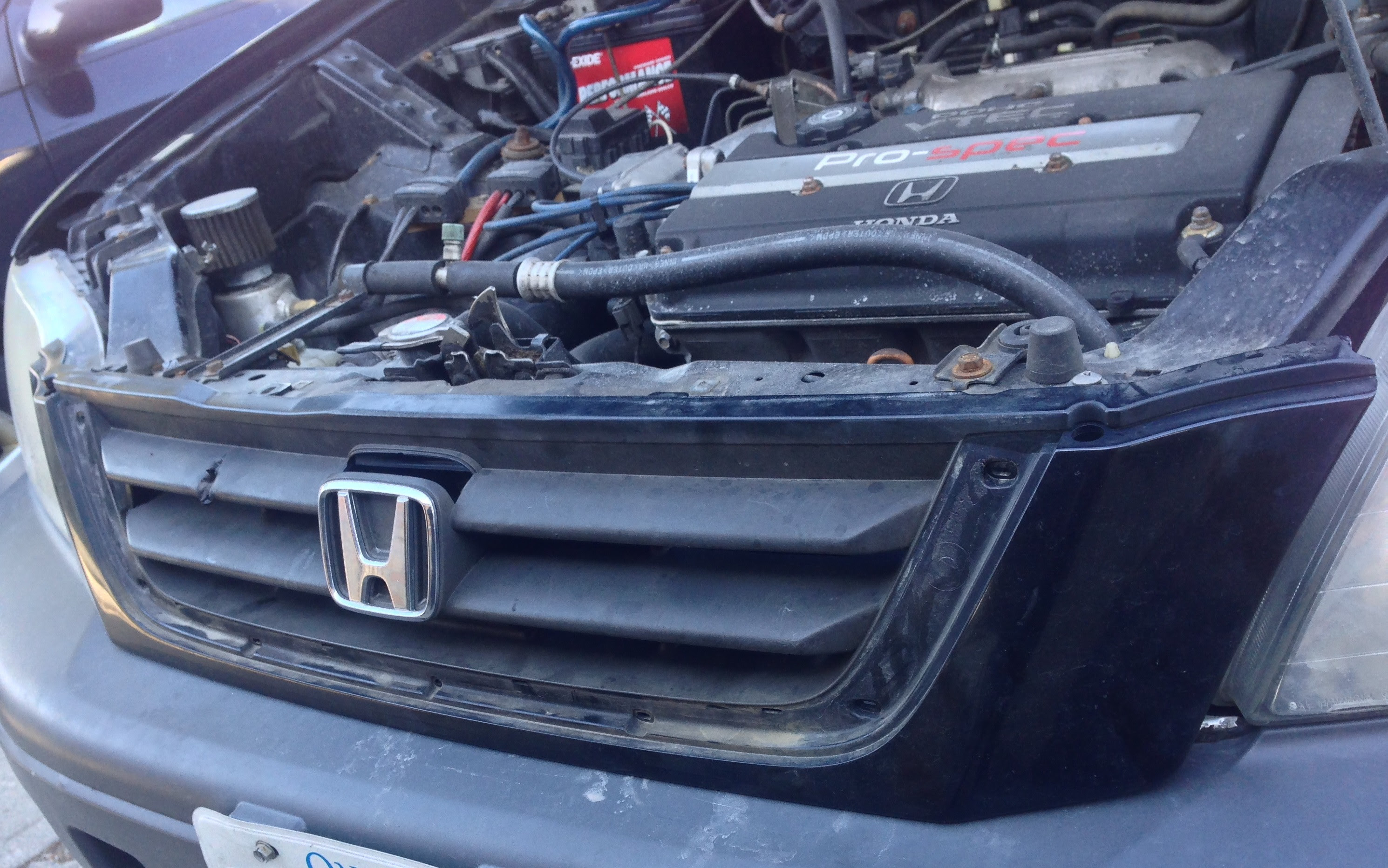 RD1 First Gen 2000 CRV - DIY Mesh Grill(e)  Honda CR-V Owners 