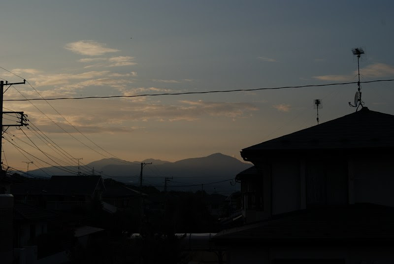 DSC_7888