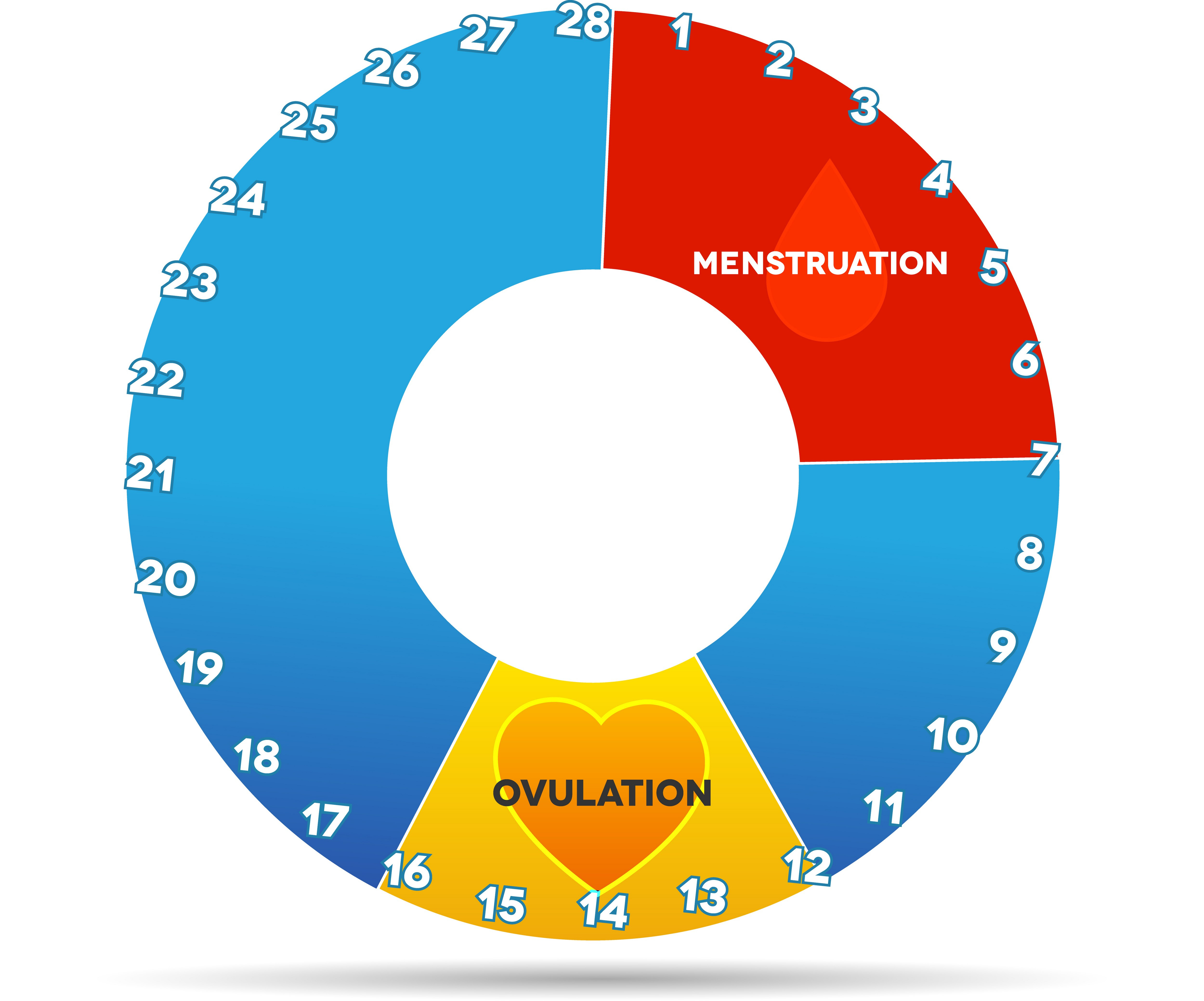 Bloating, Breast Tenderness or Cramps During Ovulation? Here’s What ...
