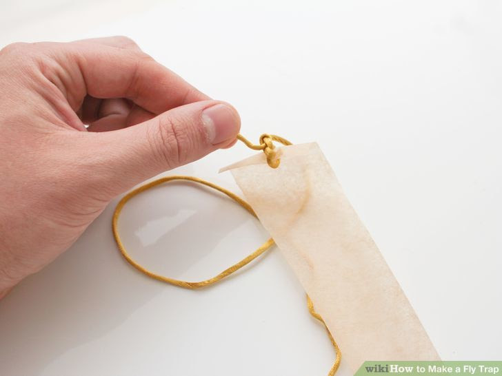 Make a Fly Trap Step 33 Version 3.jpg