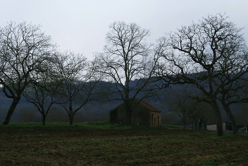 DSC04664
