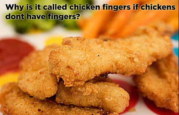 Things That Don T Make Sense Strange Beaver