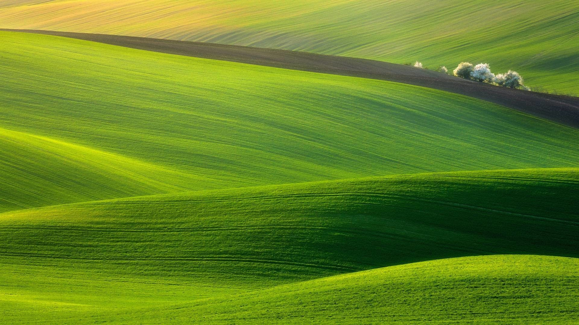 HD Nature Wallpapers for Laptop (35+ images)
