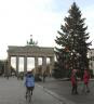 porta-i-arbre-2.jpg