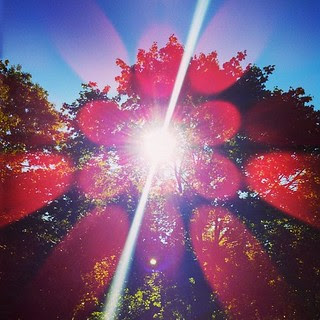 Good Sunny Morning! #sun #trees #sky #newengland