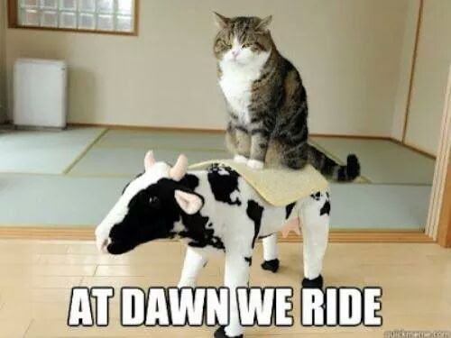 weride