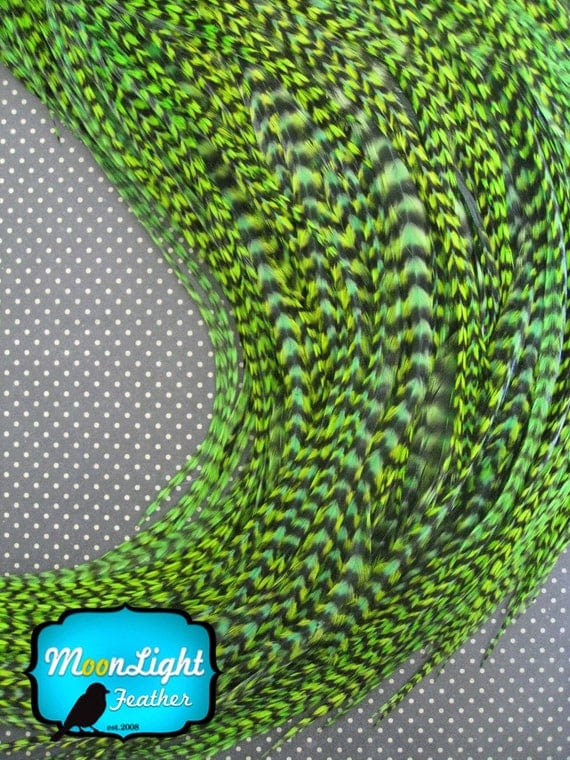 1 Dozen - GREEN Thin Long Grizzly Rooster Feathers