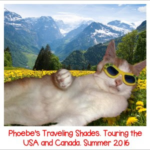 We Pawticipawted In Phoebe's Traveling Shades