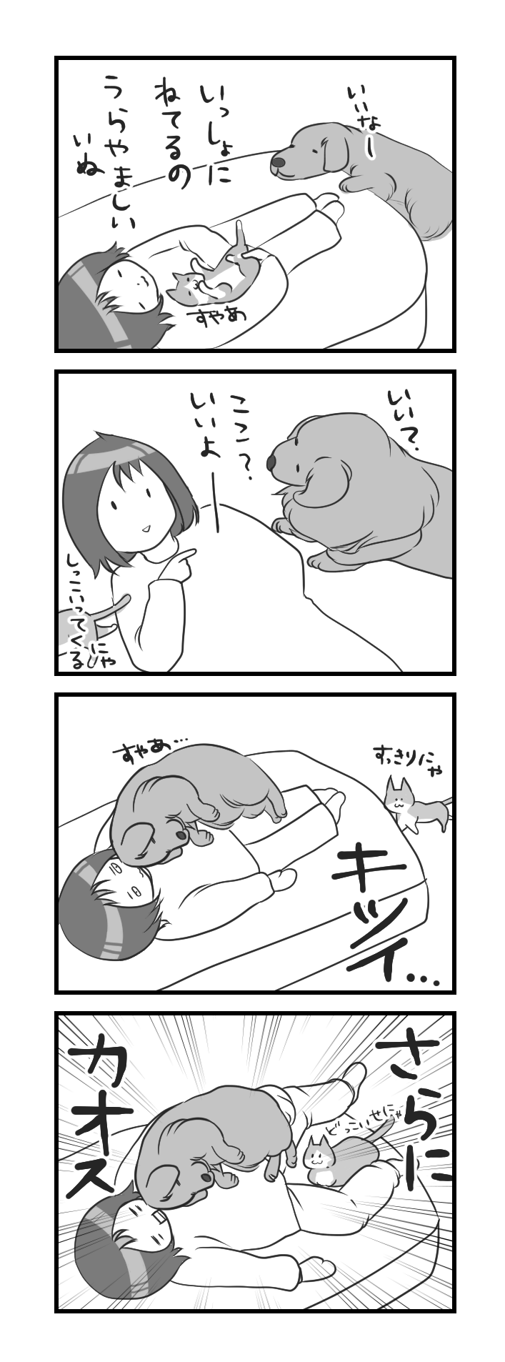 犬猫4コマ 一緒に寝たい まめとアーティ