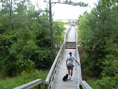 Kiptopeke Boardwalkers
