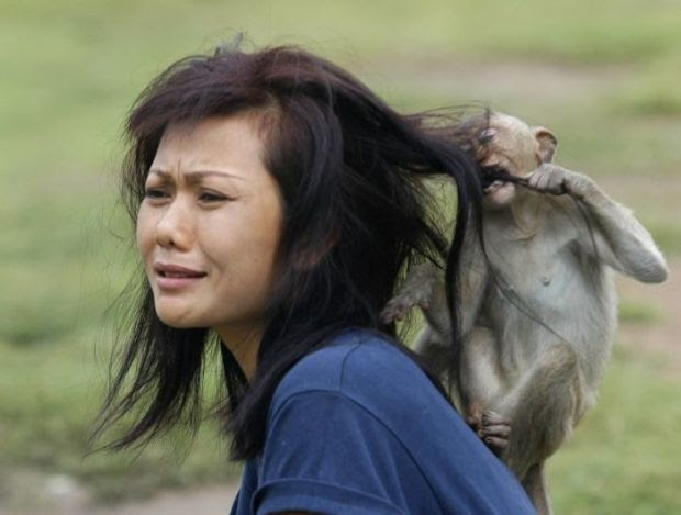 1 - 22 Women Who Ignite Unexplainable Hate In Animals