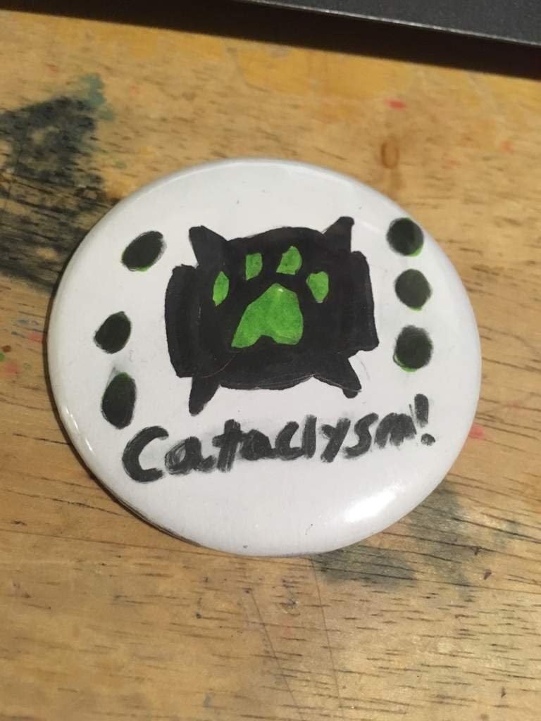 Miraculous Ladybug Pins | Miraculous Amino