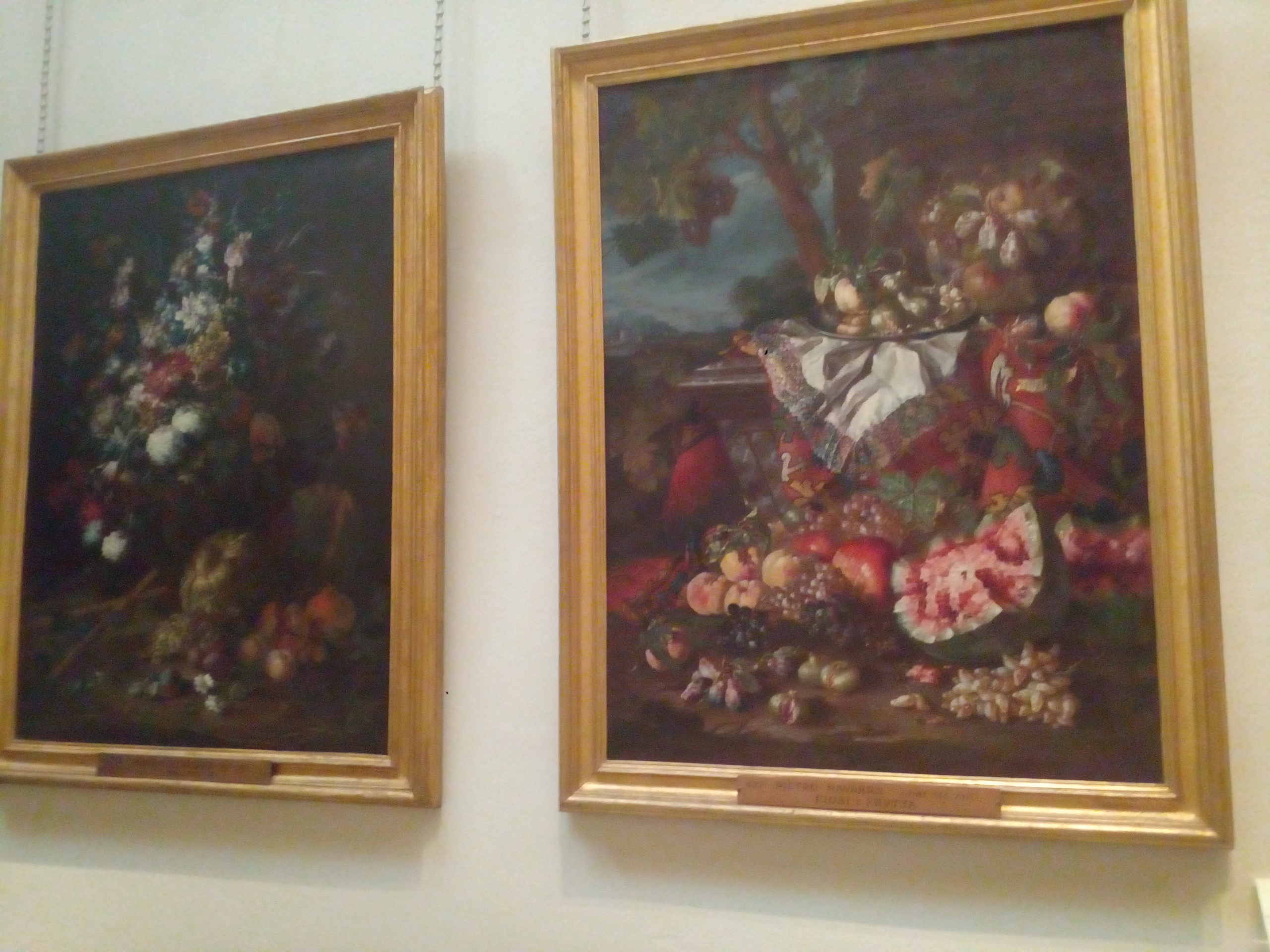 PITTURA DI GENERE AI VATICANI - Una Guida Turistica a Roma