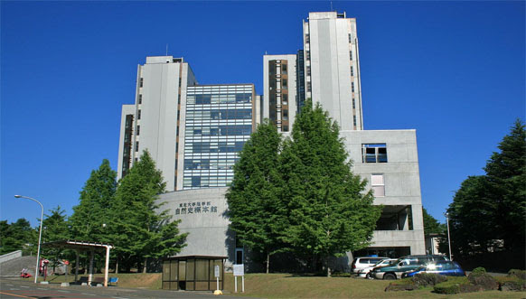 东北大学排名 东北大学简介 东北大学官网 东北大学入学条件 东北大学录取分数线 东北大学学费 东北大学申请条件 东北大学专业设置 东北大学地理位置 东北大学周边环境 糊涂鱼