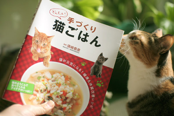 手作り猫ごはんの本 ミルキク Net