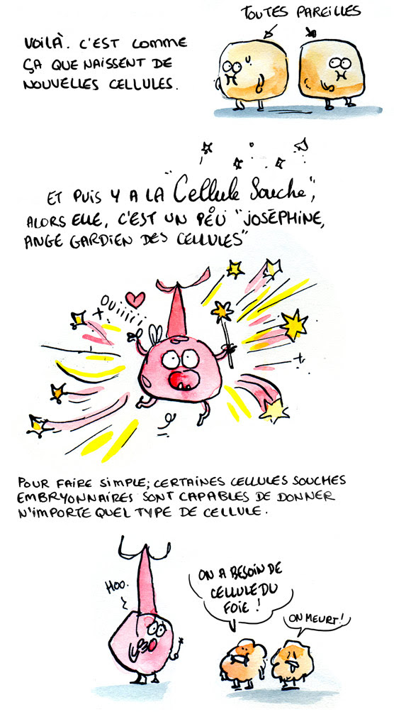 page03