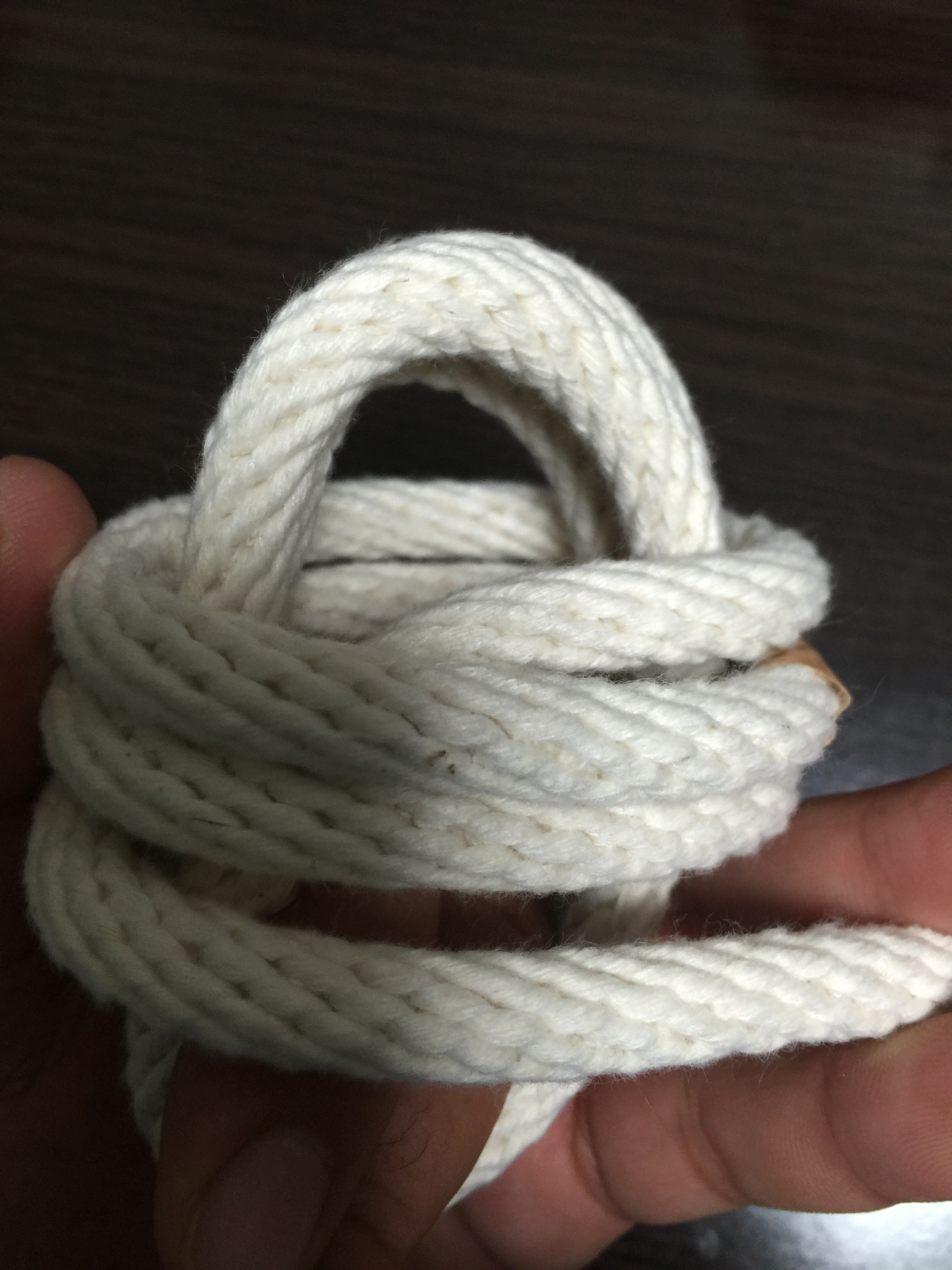 ドッグトレーナー Hth Dog School 犬のおもちゃの作り方 紐付きボール