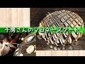 お好み焼き マヨネーズ アート 108970-お好み焼き マヨネーズ アート 動画