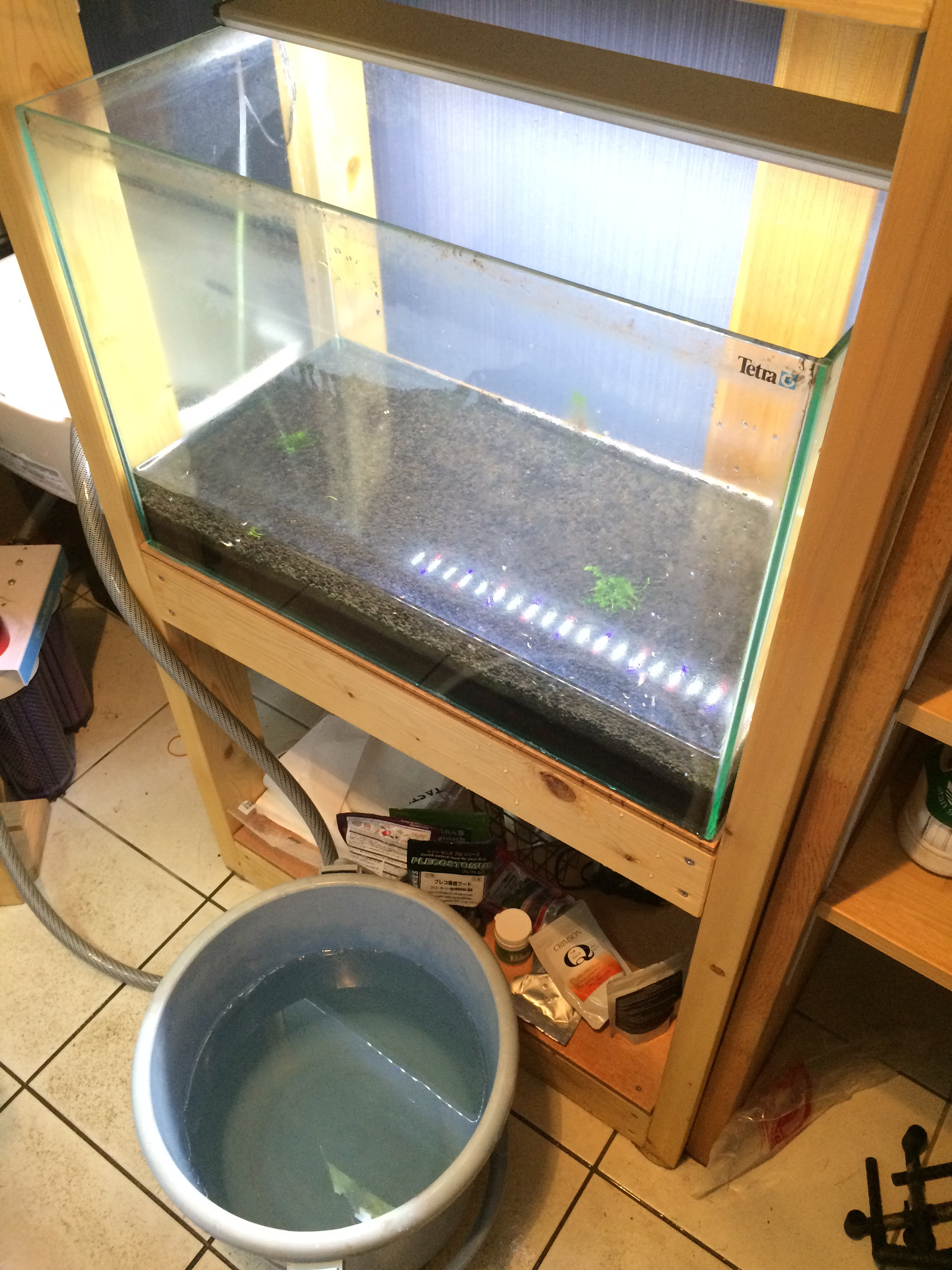 リセット時のソイル再利用 遠州えび本舗