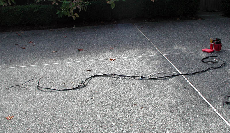 VWVortex.com - mk1 wiring harness removal