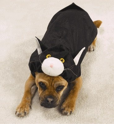 Doggone Cat Dog Costume - LARGE [Misc.]