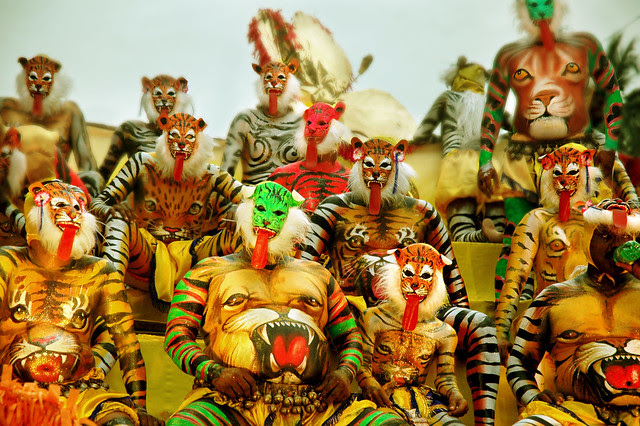 Many Lions and Tigers Here ! Happy Tonguing..If you Can !