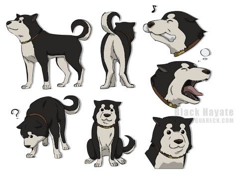 Black Hayate ブラックハヤテ号 黑色疾风 霍克埃中尉收养的军犬