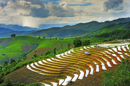 รูปภาพ