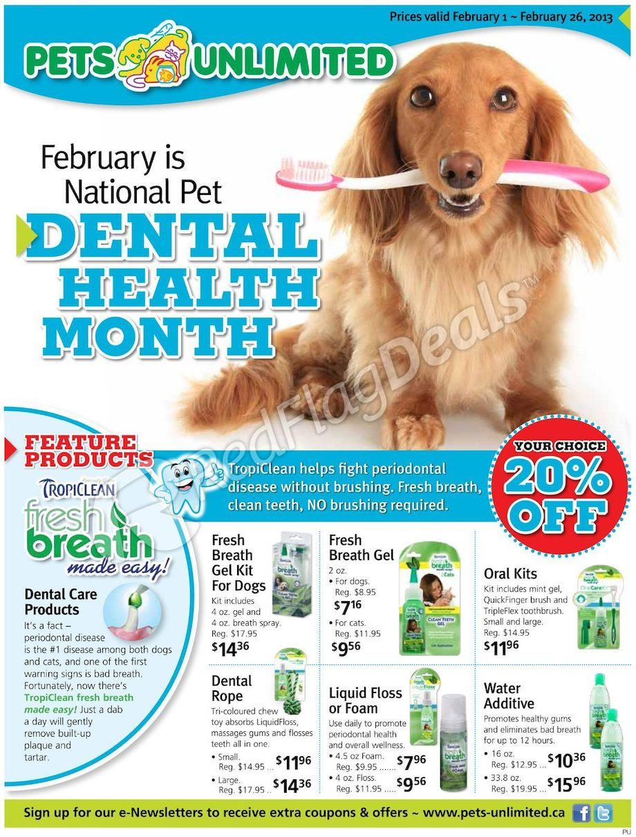 PJ Pets Weekly Flyer - National Pet Dental Health Month ...