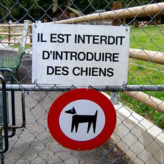 Aucun animal ...
