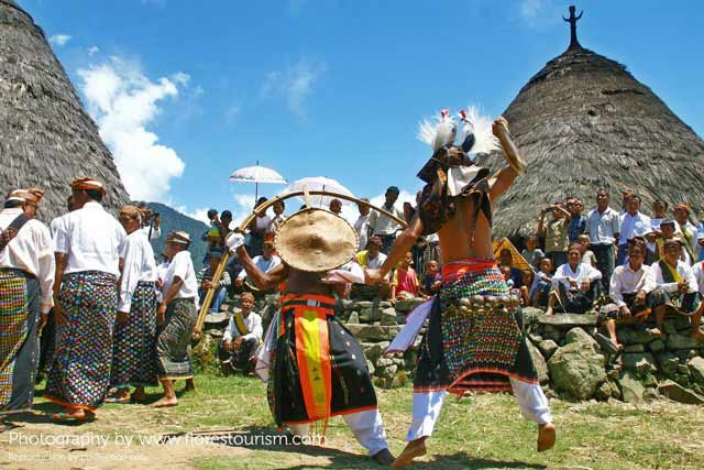 wae rebo